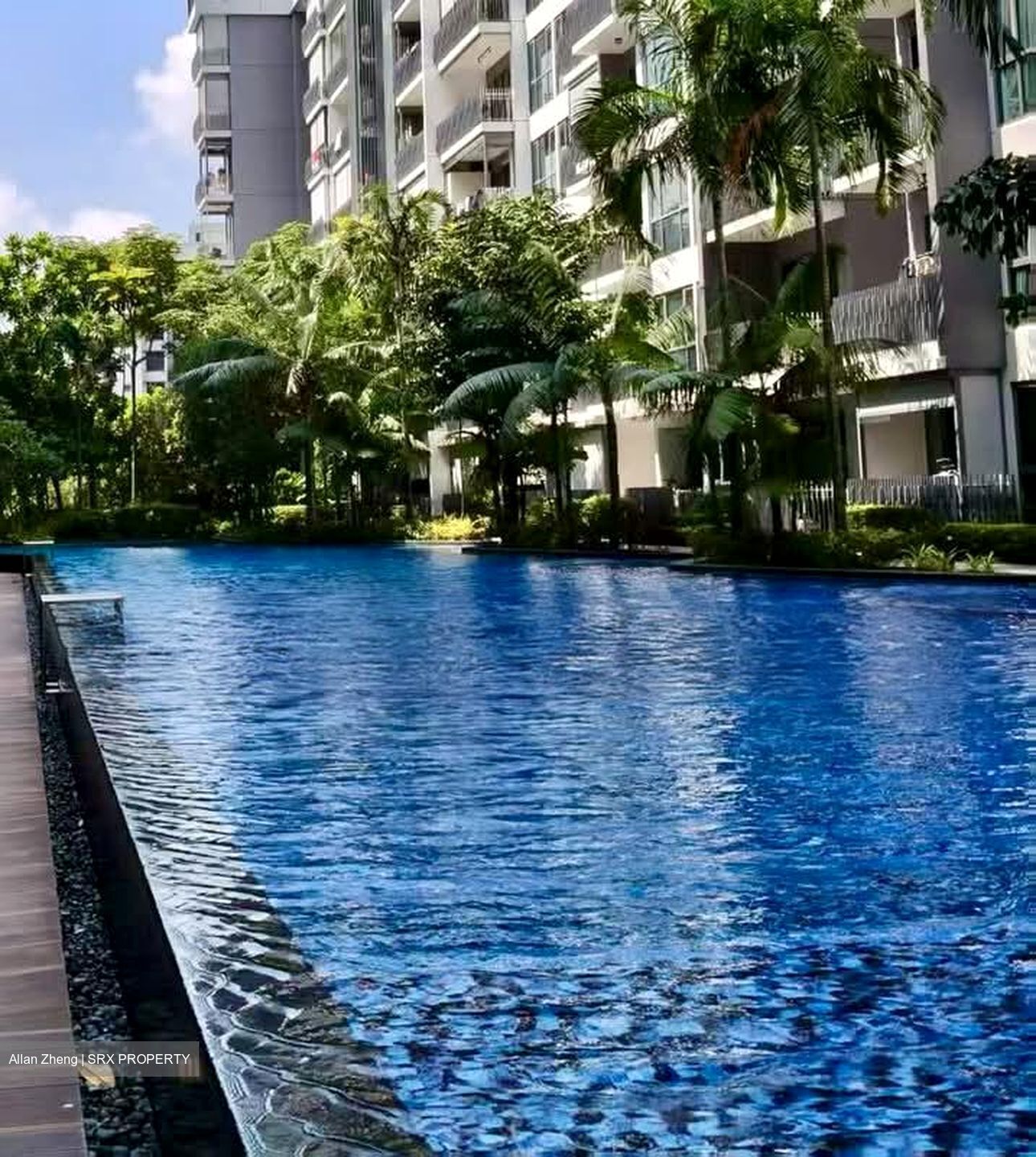 Forest Woods (D19), Condominium #587744661